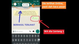 Cara Melihat Kontak Whatsapp Centang 1 Baca Pesan atau Belum