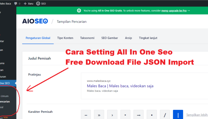 cara setting all in one seo plugin free download file json import