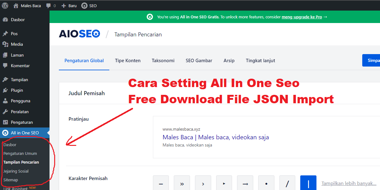 cara setting all in one seo plugin free download file json import